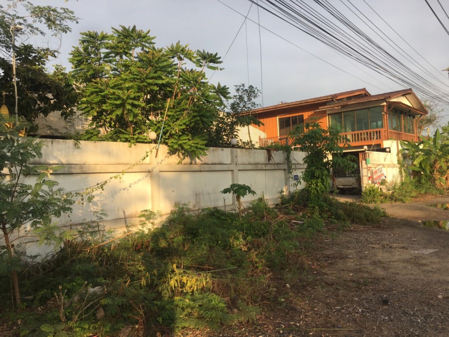 ขายที่ดิน 327 ตรว. พร้อมโรงงาน ติดถนนสังฆสันติสุข 56 ใกล้สนามกอล์ฟเดอะไพน์