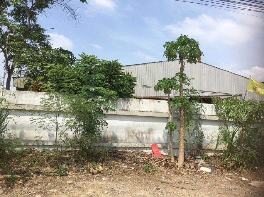 ขายที่ดิน 327 ตรว. พร้อมโรงงาน ติดถนนสังฆสันติสุข 56 ใกล้สนามกอล์ฟเดอะไพน์