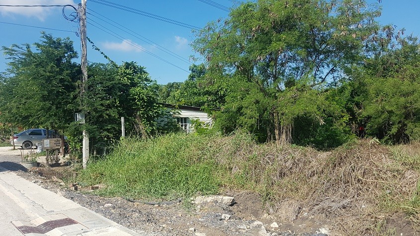 ขายที่ดิน 6-1-88 ไร่ ติดถนนบึงขวาง ซ.3 ใกล้ถนนสุวินทวงค์ ร่มเกล้า ใกล้รถไฟฟ้าสถานีสุวินทวงค์ อยู่ในแหล่งชุมชน