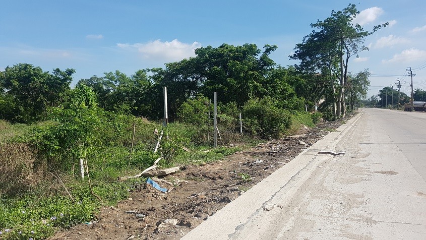 ขายที่ดิน 6-1-88 ไร่ ติดถนนบึงขวาง ซ.3 ใกล้ถนนสุวินทวงค์ ร่มเกล้า ใกล้รถไฟฟ้าสถานีสุวินทวงค์ อยู่ในแหล่งชุมชน