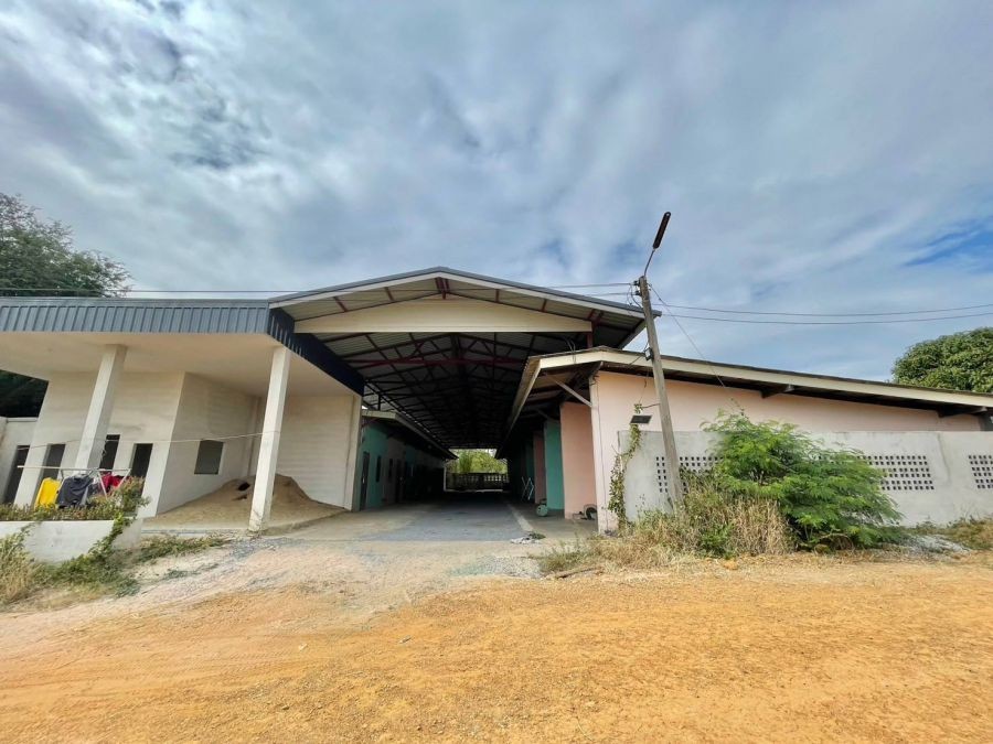 ขายหอพักอำเภอบ่อทองชลบุรี  เกษตรสุวรรณบ่อทอง เนื้อที่ 300 ตารางวา  จำนวน 18 ห้อง