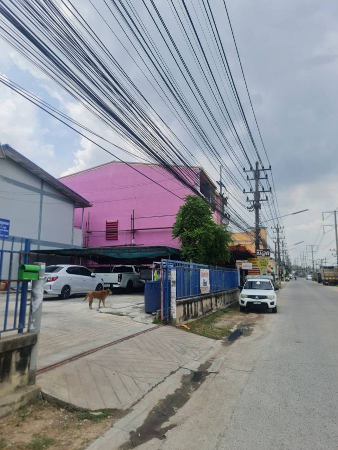 ขายด่วน หอพัก 42ห้อง พร้อมผู้เช่าเต็ม หอพัก 2 ชั้น  จำนวน 2 หลัง พร้อมหอ้งเช่า 42 ห้อง