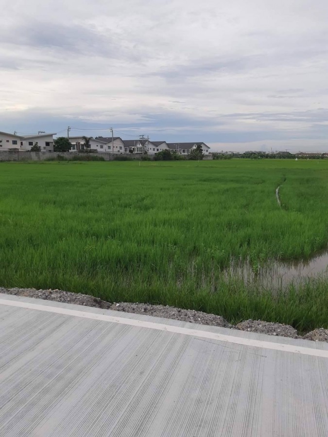 ขายที่ดิน 600 ตรว. ในซอยบางนาการ์เด้น (ถนนบางนา-ตราด กม.26) อำเภอบางเสาธง จ. สมุทรปราการ ใกล้ ABAC Bangna