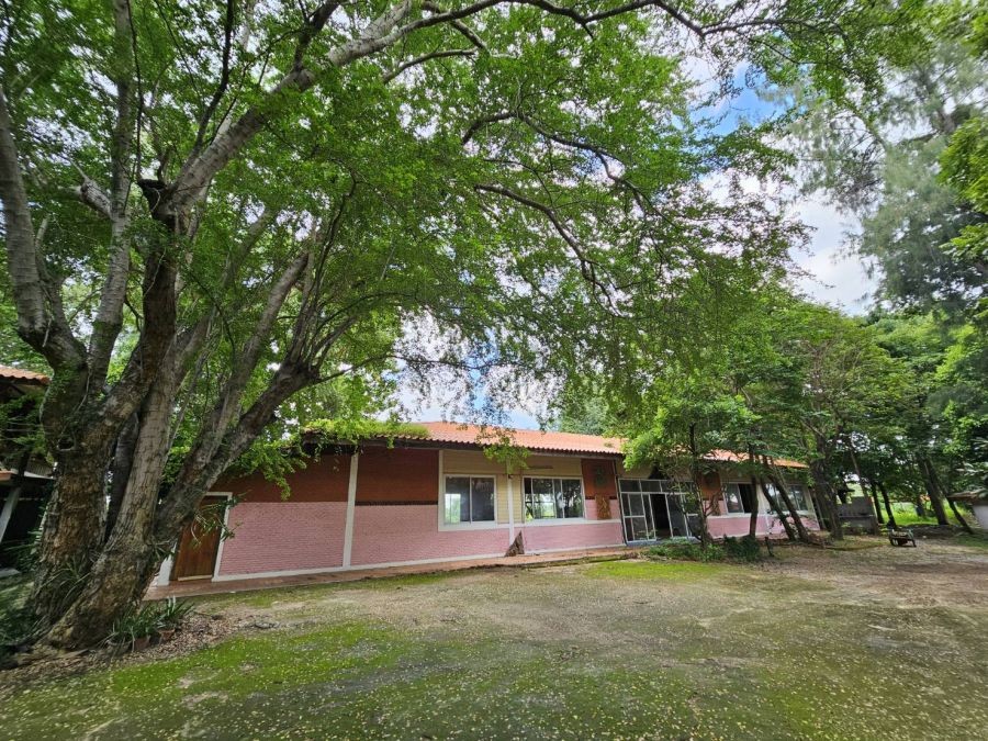 ปิดประกาศ 16120258917454 ปิดประกาศ 16120258917454