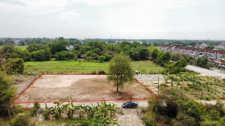 ที่ดินแปลงสวยพร้อมปลูกบ้านได้เลยแบ่งขายหรือขายยกแปลงไปทำบ้านขายได้