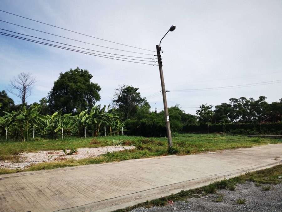 ขายที่ดิน 186 ตรว.  ในซอยเฉลิมพระเกียรติ ร9 ซอย 25 ใกล้สวนหลวงร.9 ใกล้สวนหลวงร.9