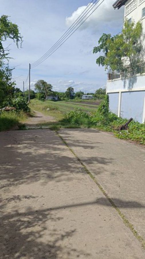 ขายที่ดิน 11-1-76 ตารางวา ใกล้ถนนราชพฤกษ์ ตัดใหม่ ปทุมธานี  (4)