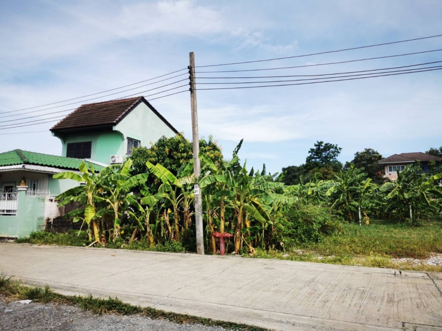 ขายที่ดิน 186 ตรว.  ในซอยเฉลิมพระเกียรติ ร9 ซอย 25 ใกล้สวนหลวงร.9 ใกล้สวนหลวงร.9