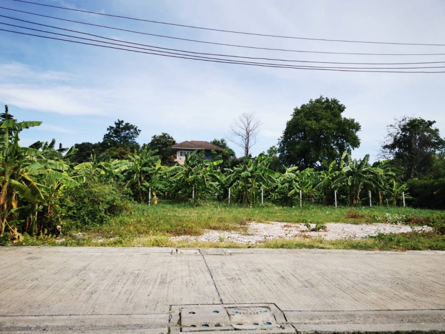 ขายที่ดิน 186 ตรว.  ในซอยเฉลิมพระเกียรติ ร9 ซอย 25 ใกล้สวนหลวงร.9 ใกล้สวนหลวงร.9