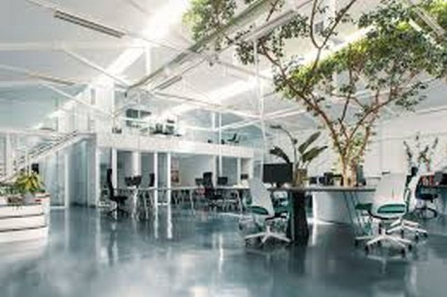 ขายสำนักงาน ท่ามกลางธรรมชาติ รายล้อมด้วยต้นไม้ตกแต่งพร้อมใช้งาน สิ่งอำนวยความสะดวกครบครัน