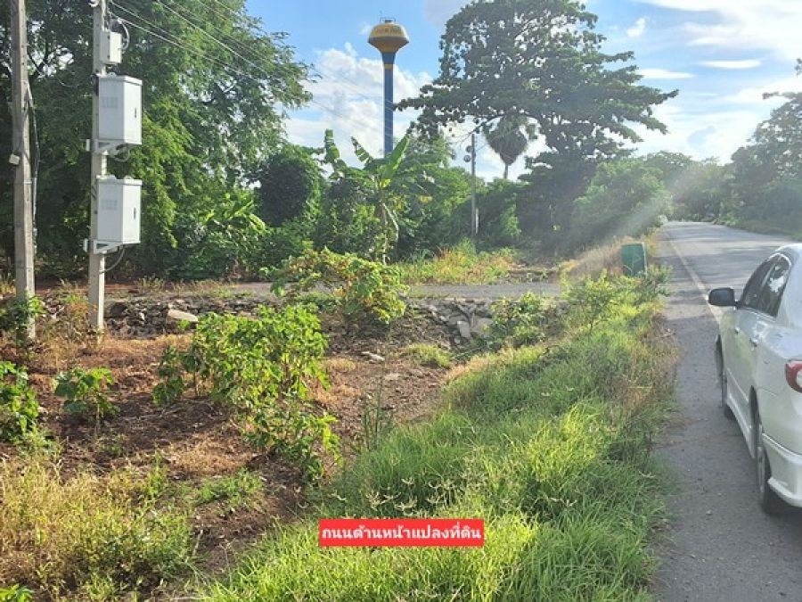 ขายที่ดินแปลงสวย 12 ไร่ 2 งาน ติดถนน 3 ด้าน เหมาะแบ่งจัดสรรขาย ปลูกบ้าน หรือทำสวนเกษตร โทร. 094-5276439