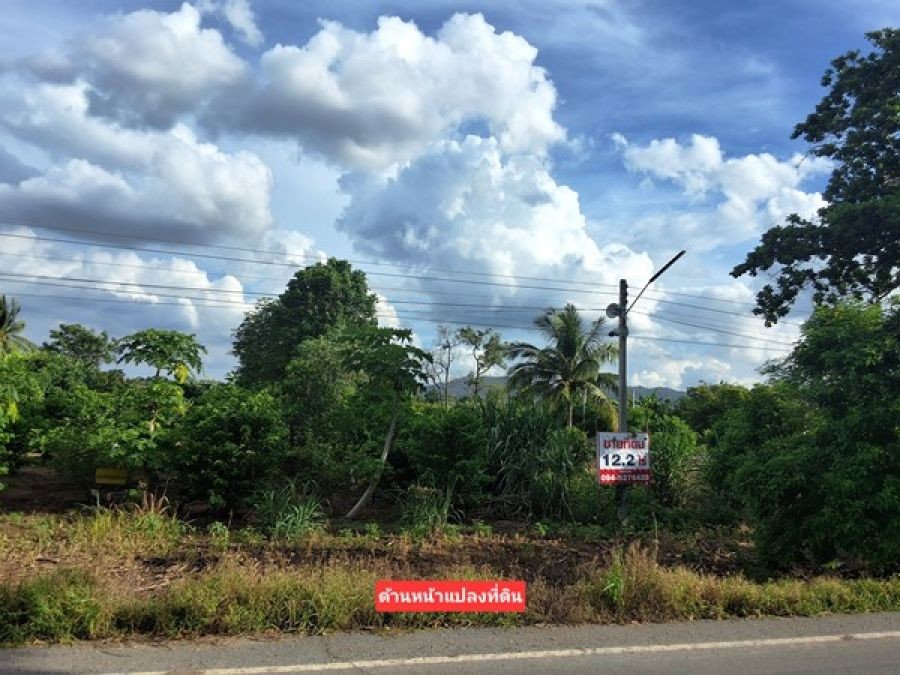ขายที่ดินแปลงสวย 12 ไร่ 2 งาน ติดถนน 3 ด้าน เหมาะแบ่งจัดสรรขาย ปลูกบ้าน หรือทำสวนเกษตร โทร. 094-5276439
