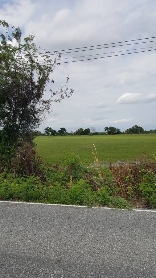 ขายที่ดิน 18 ไร่ ใกล้นิคมอุตสาหกรรมเวลโกร และมอเตอร์เวย์