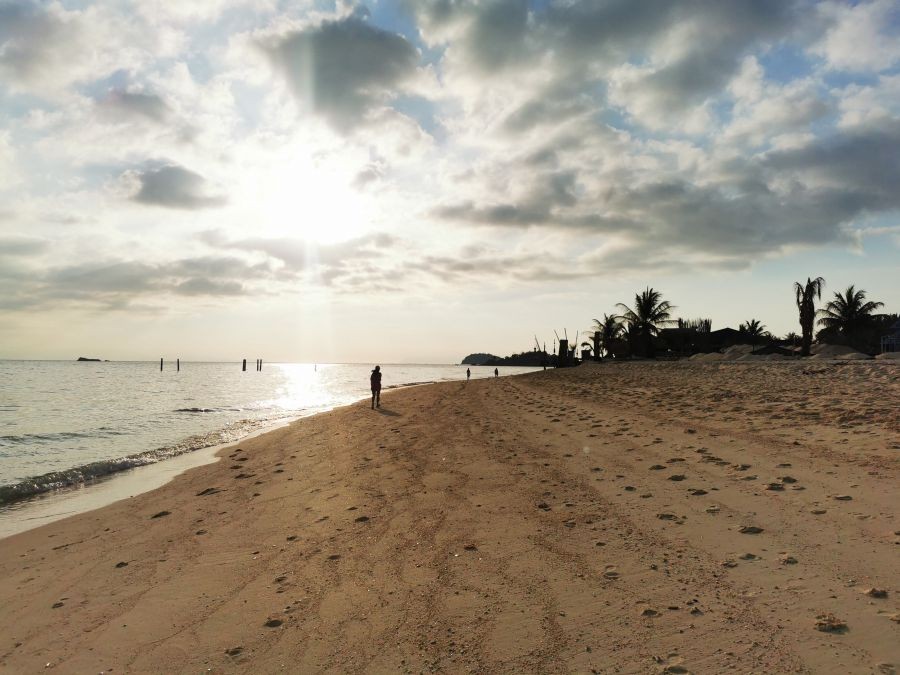 ขายที่ดิน 20 ไร่ บนเกาะศรีบอยา อ.เหนือคลอง จ.กระบี่ เหมาะทำรีสอร์ท