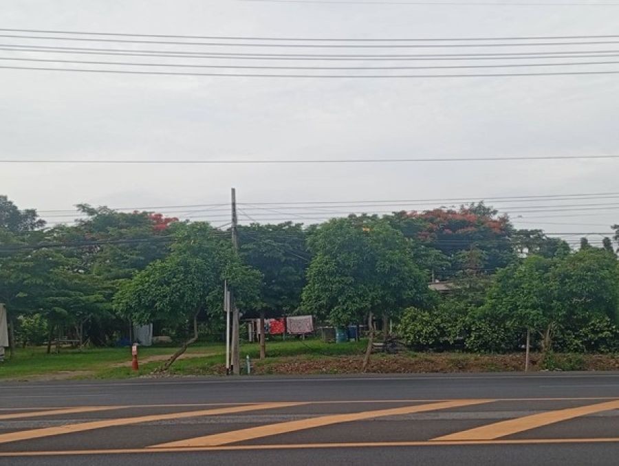 ขายด่วน! ที่ดินสวนเกษตรผสมผสานสไตล์รีสอร์ท อ.พัฒนานิคม จ.ลพบุรี พร้อมบ้านและสิ่งปลูกสร้างครบครัน โทร 063-3832910