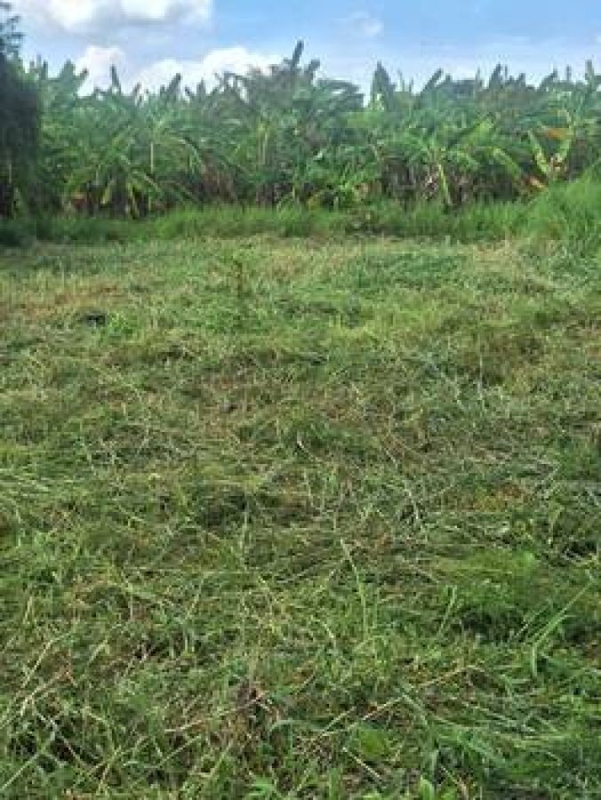 ขายด่วน ที่ดินเปล่าถมเล้ว ติดถนนสาธารณะ หลังมหาวิทยาลัยราชมงคลคลอง 6 ธัญบุรี โทร 094-697-8986