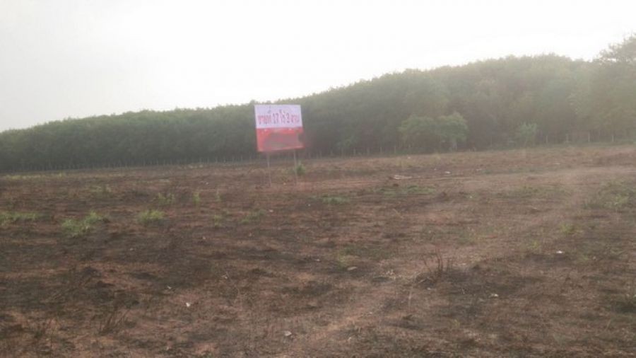 ขายที่ดิน เกาะขนุน 16 ไร่ 3 งาน อำเภอพนมสารคาม ฉะเชิงเทรา