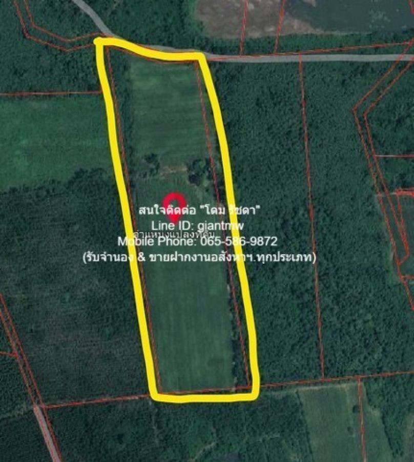 ปิดประกาศ 14220258560688 ปิดประกาศ 14220258560688