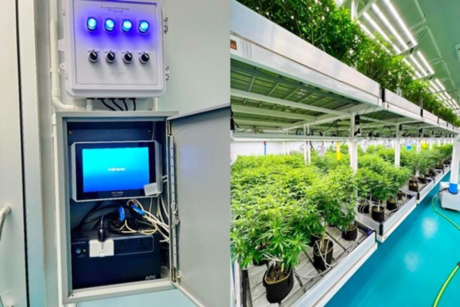 วัดกลางมหาสารคาม 1.5 กม.  ติดถนนใหญ่ โลตัสโกเฟรชวาปีปทุม 1.6 กม.ฟาร์มกัญชาในร่ม พื้นที่เพาะปลูก 200 ตร.วา.675 ตร.ม.2นอน 2น้ำ ให้เช่า 3แอร์