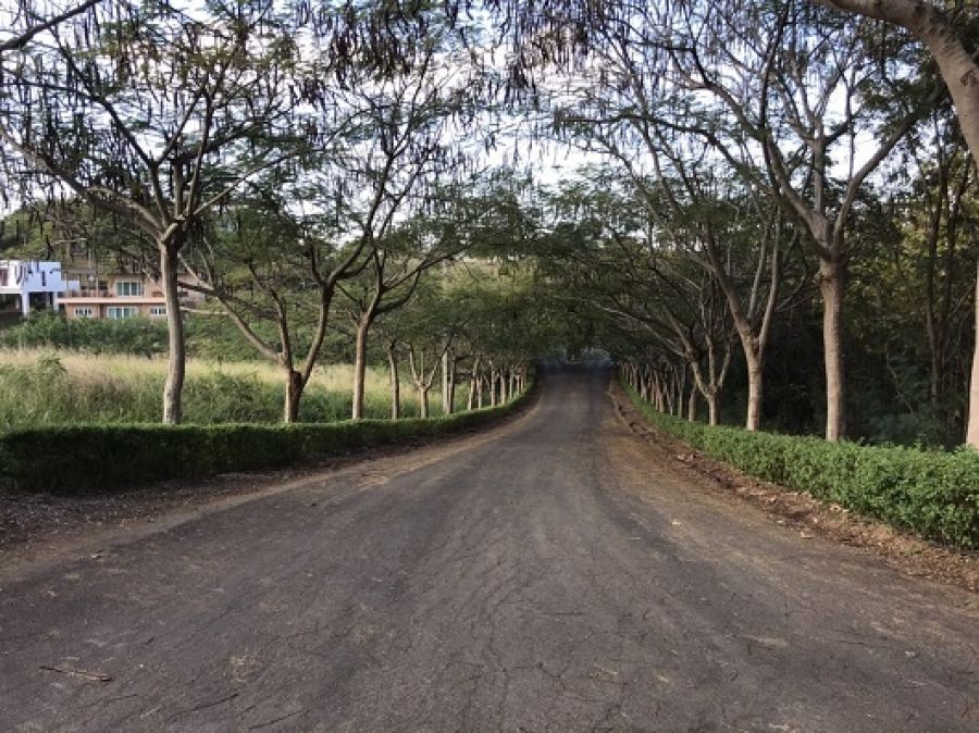 ปิดประกาศ 1720252862930 ปิดประกาศ 1720252862930