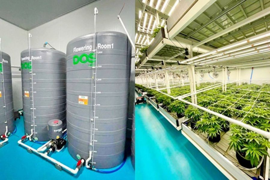 วัดกลางมหาสารคาม 1.5 กม. ฟาร์มกัญชาในร่ม พื้นที่เพาะปลูก 190 ตร.วา. ติดถนนใหญ่ โลตัสโกเฟรชวาปีปทุม 1.6 กม.680 ตร.ม.2นอน 2น้ำ ให้เช่า 3แอร์