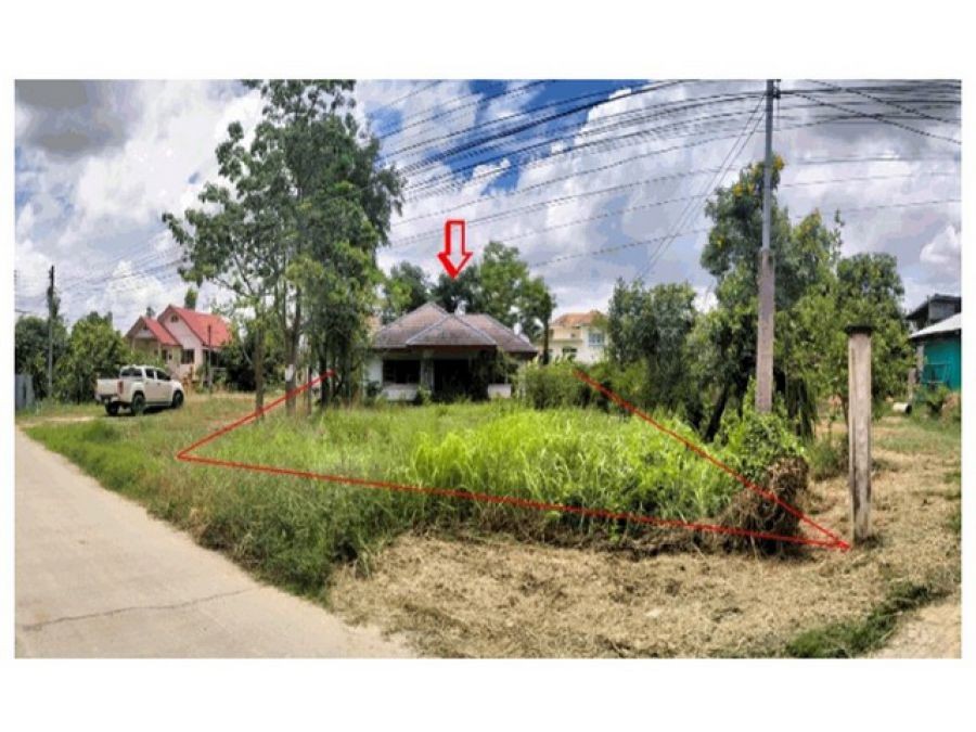 ขายบ้านเดี่ยวมือสอง อำเภอเมืองพิษณุโลก จังหวัดพิษณุโลก