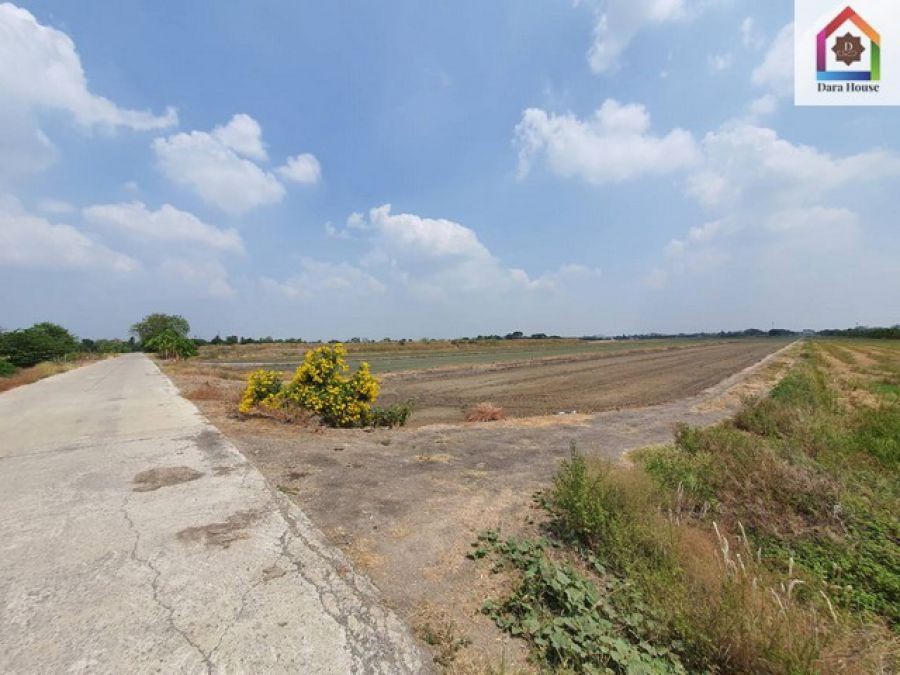 ปิดประกาศ 2520259666550 ปิดประกาศ 2520259666550