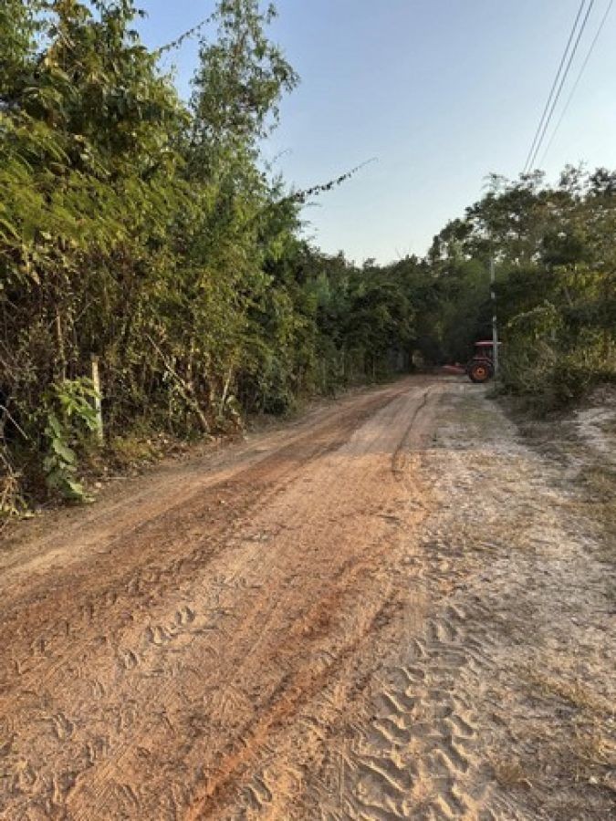 ปิดประกาศ 18320253533395 ปิดประกาศ 18320253533395