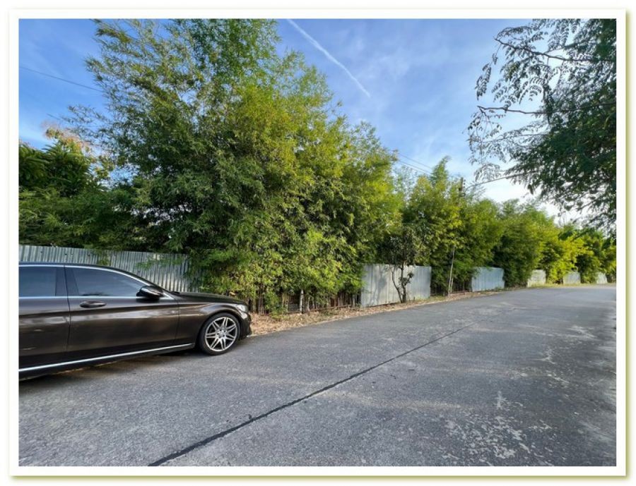 ปิดประกาศ 11120256950045 ปิดประกาศ 11120256950045