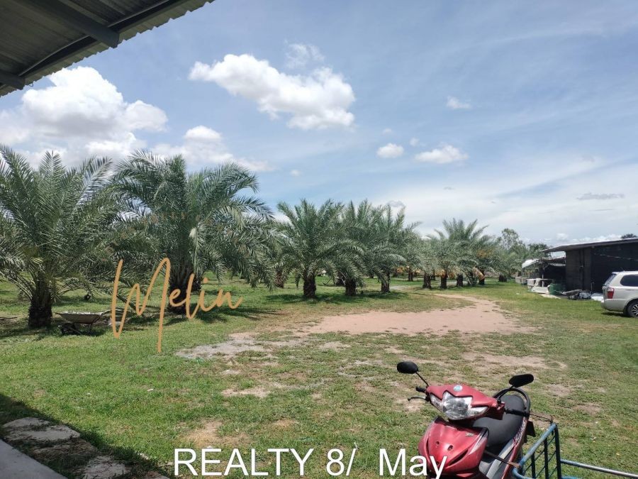 ขายที่ดินแปลงใหญ่ 19 ไร่ พร้อมสวนอินทผลัมให้ผลผลิต ใกล้ถนนใหญ่ ดอนเจดีย์ สุพรรณบุรี