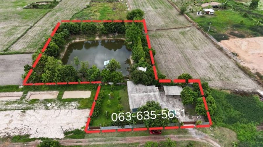 ขายบ้านสวนใกล้แมคโครนครนายก 2 ไร่ 3 งาน ต.เขาพระ อ.เมืองนครนายก บ้านสวยและสวนผลไม้พร้อมเก็บกินหิ้วกระเป๋าเข้าอยู่ได้เลย