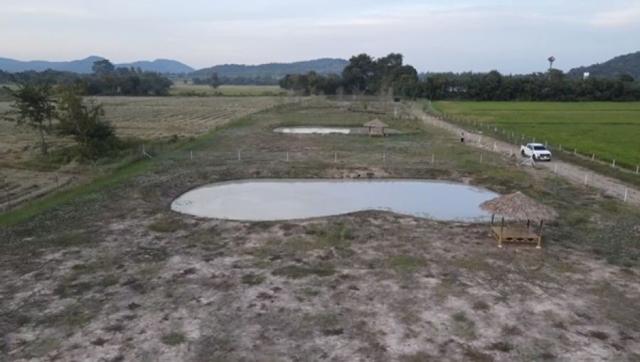 ที่ดินสวย ทำเลดี พร้อมระบบน้ำชลประทานฟรี เขาขลุง บ้านโป่ง ราชบุรี ติดถนนใหญ่ ใกล้กรุงเทพ