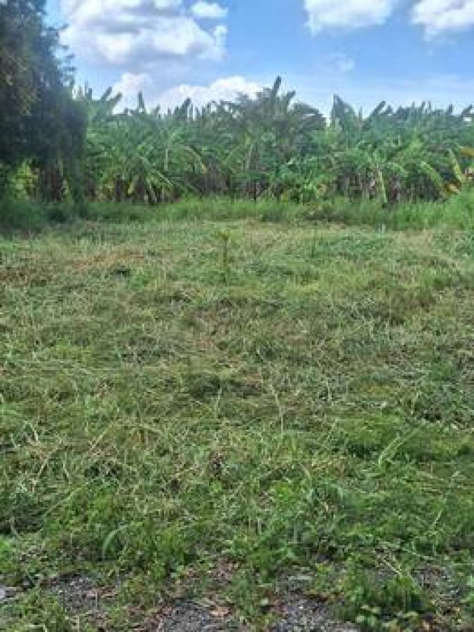 ขายด่วน ที่ดินเปล่าถมเล้ว ติดถนนสาธารณะ หลังมหาวิทยาลัยราชมงคลคลอง 6 ธัญบุรี โทร 094-697-8986