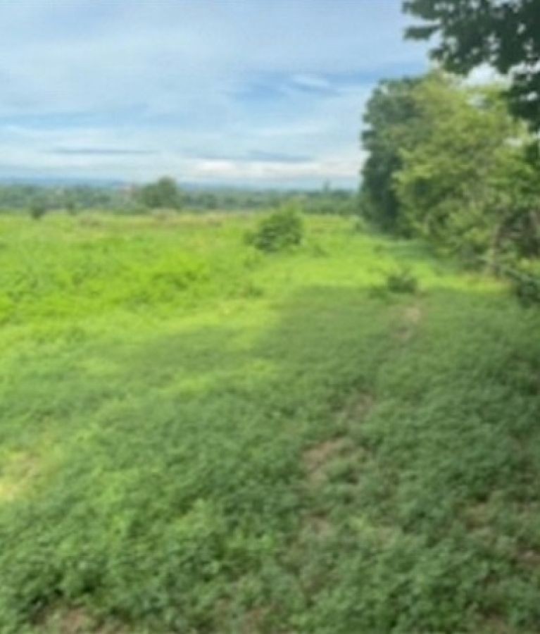 ขายที่ดิน เนื้อที่ 114 ไร่ กว่าๆ ที่โฉนดครุฒแดง พร้อมโอนไม่ติดจำนอง บ้านโป่ง ราชบุรี