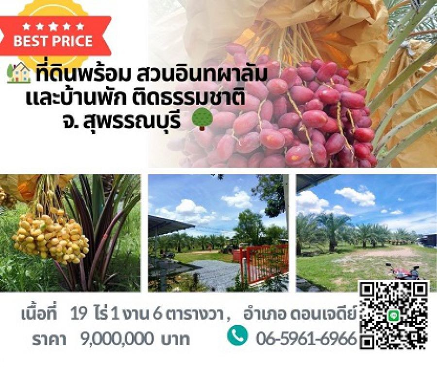 ขายที่ดินแปลงใหญ่ 19 ไร่ พร้อมสวนอินทผลัมให้ผลผลิต ใกล้ถนนใหญ่ ดอนเจดีย์ สุพรรณบุรี