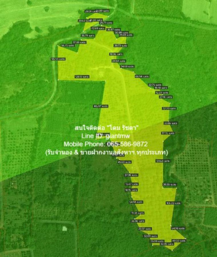 พื้นที่ดิน ขายที่ดินสวนผลไม้ปลอดสารพิษ (Organic) อ.ประจันตคาม จ.ปราจีนบุรี 57-0-90.4 ไร่, ราคา 57 ล้านบาท 90 ตาราง.วา 0 ngan 57 RAI  57000000 - ใกล้ ห่างทางหลวงหมายเลข 3649 (ถนนสุวรรณศร) ประมาณ 5 กม. FOR SALE ปราจีนบุรี