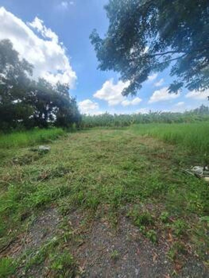 ขายด่วน ที่ดินเปล่าถมเล้ว ติดถนนสาธารณะ หลังมหาวิทยาลัยราชมงคลคลอง 6 ธัญบุรี โทร 094-697-8986