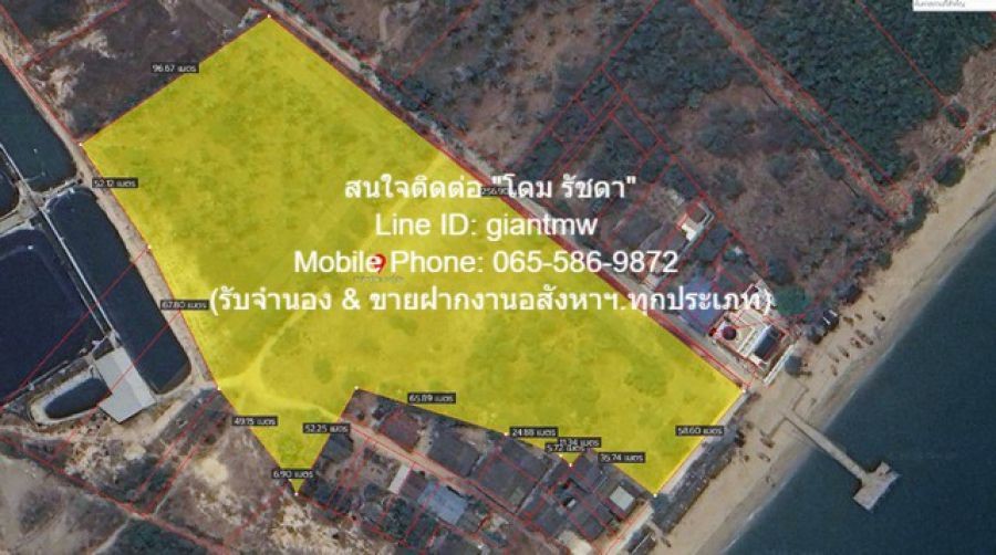 ปิดประกาศ 71120243595703 ปิดประกาศ 71120243595703