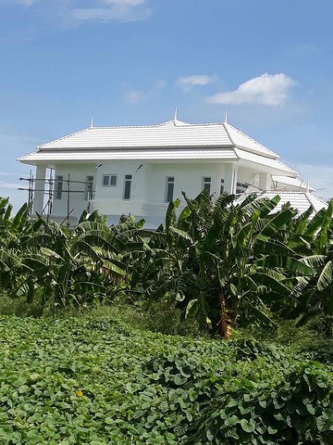 รหัส  DSL-105 ประกาศขาย พื้นที่ดิน บางแก้วฟ้า นครชัยศรี จ.นครปฐม 3364 ตรว.  ใกล้กับ แม่น้ำท่าจีน 100 ม. เดินทางสะดวก