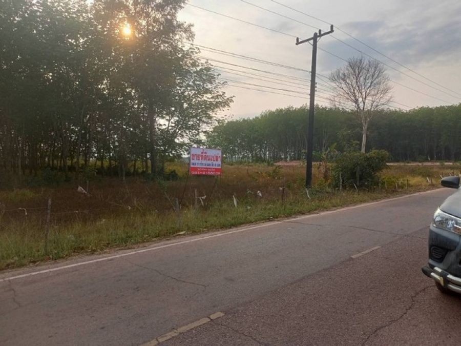 ขายที่ดิน ริมแม่น้ำโขง ขายถูก เนื้อที่  548.8 ตารางวา ปากคาด บึงกาฬ