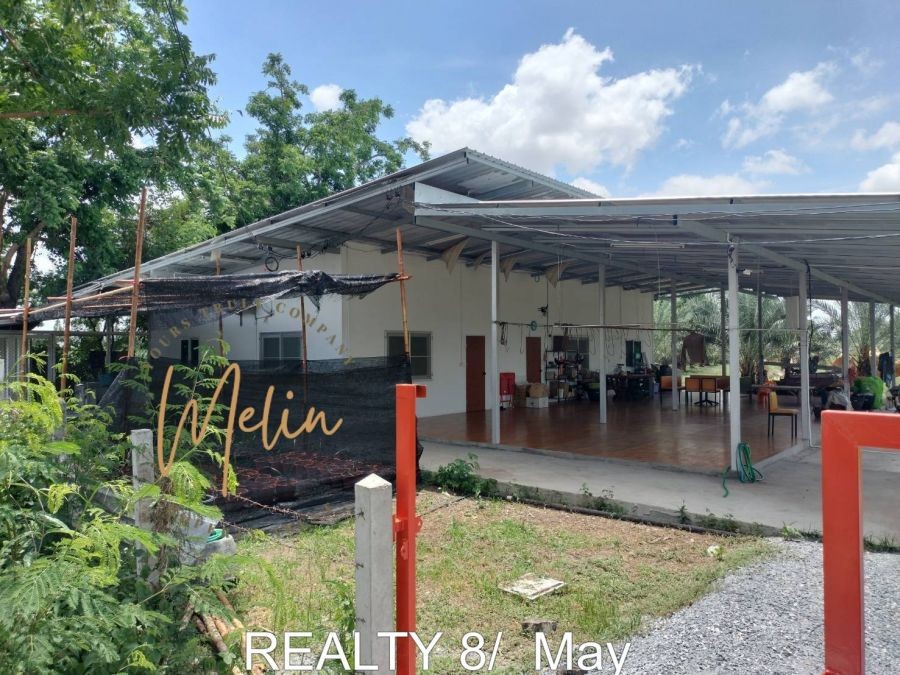 ขายที่ดินแปลงใหญ่ 19 ไร่ พร้อมสวนอินทผลัมให้ผลผลิต ใกล้ถนนใหญ่ ดอนเจดีย์ สุพรรณบุรี