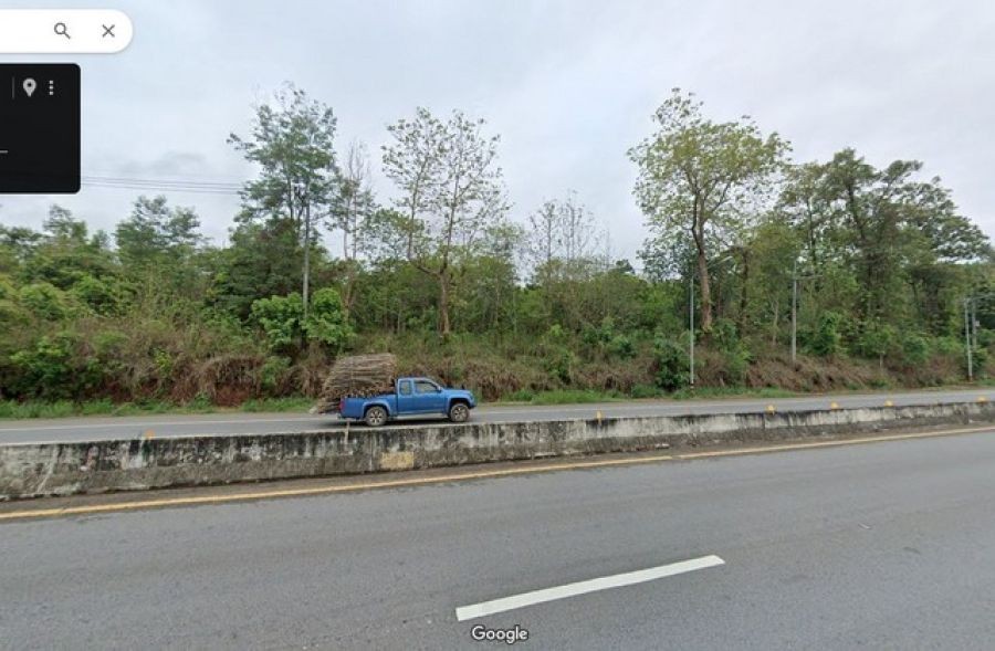 ขายที่ดิน 14-2-59ไร่ 7ลบ. ฟรีโอน ติดถนน 107 โชตนา เชียงใหม่-ฝาง ต.อินทขิล อ.แม่แตง เชียงใหม่