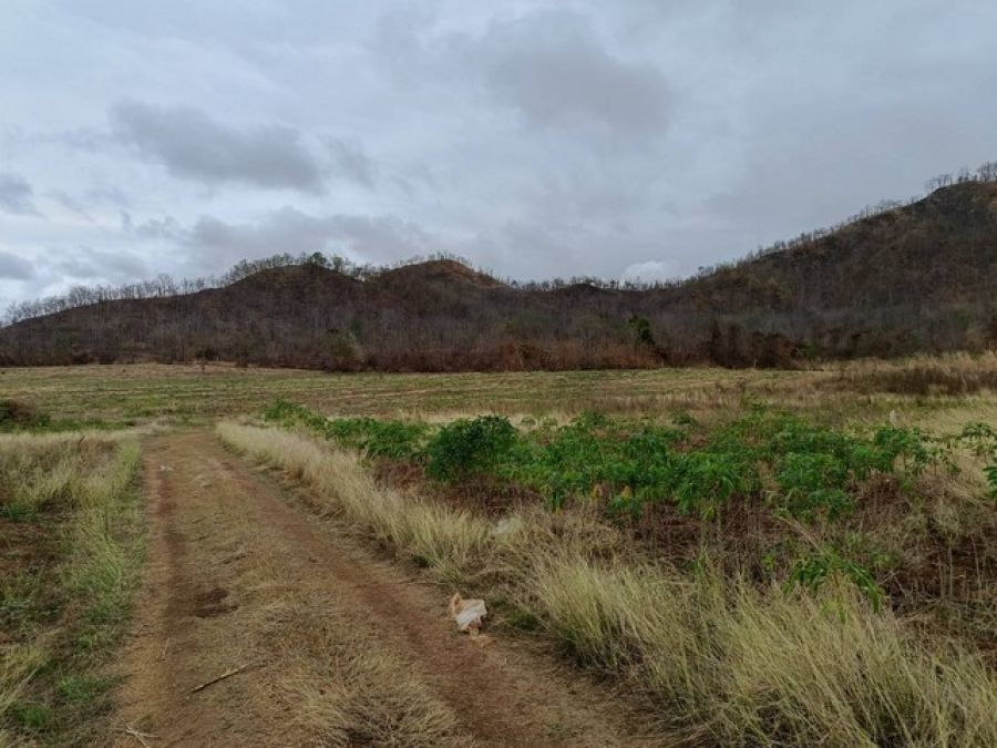 ขายที่ดินเปล่า ถูกมาก ที่ดินเนื้อที่ 31-1-23 ไร่ ต.วังหิน อ.เมืองตาก จ.ตาก ต่ำกว่าราคาประเมิน