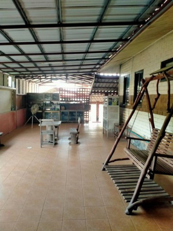 บ้าน ขายบ้าน ค.ส.ล. 2 ชั้น บ้านนกเค้า ตำบลระเวียง อำเภอโนนนารายณ์ จังหวัดสุรินทร์ 63 ตาราง-วา 3 Ngan 1 ไร่  3000000 thb ทำเลดี สุรินทร์