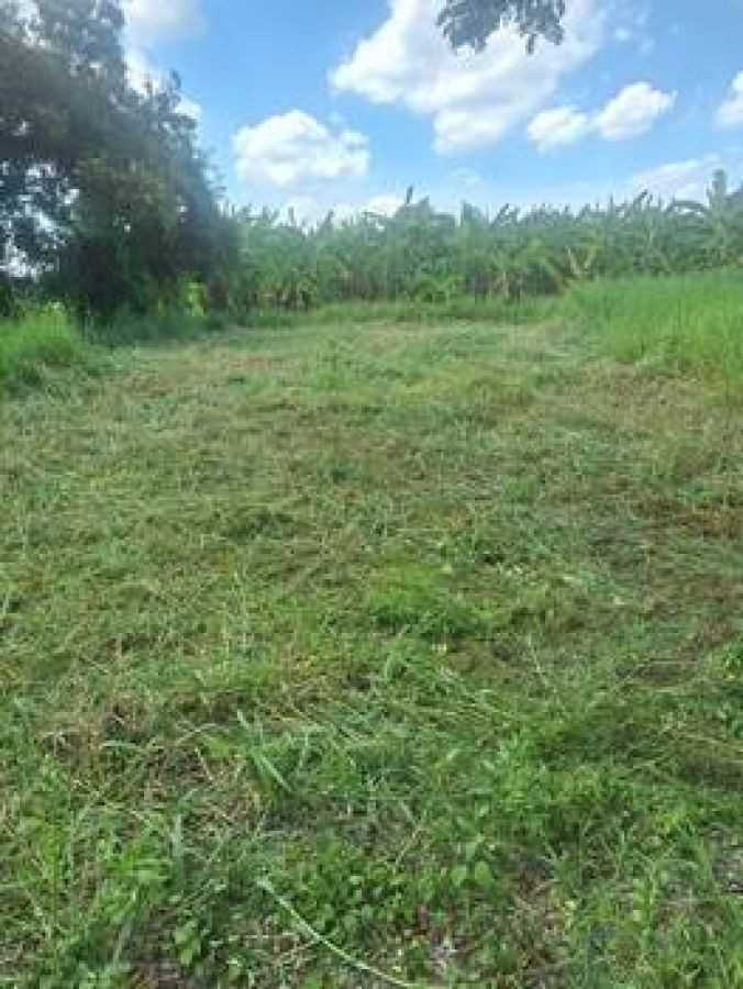 ขายด่วน ที่ดินเปล่าถมเล้ว ติดถนนสาธารณะ หลังมหาวิทยาลัยราชมงคลคลอง 6 ธัญบุรี โทร 094-697-8986