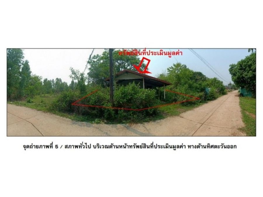 ขายบ้านเดี่ยวมือสอง อำเภอโพนพิสัย จังหวัดหนองคาย