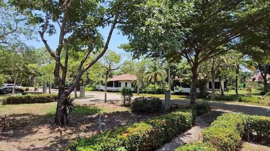 เจ้าของตัดใจลดไปเลย 6 แสนจ้า บ้านสวนสวยขนาดกำลังดี 200 ตรว. ต.บ้านพร้าว อ.บ้านนา จ.นครนายก 15 นาทีถึงตลาดบ้านนา