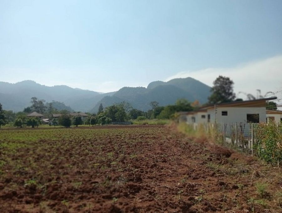 ขายที่ดิน ตั้งอยู่ใกล้เขาใหญ่ ปากช่อง 6 ไร่ ปลูกมันสำปะหลัง โคราช เหมาะสำหรับทำเกษตรกรรม สร้างบ้านพักตากอากาศ ลงทุน