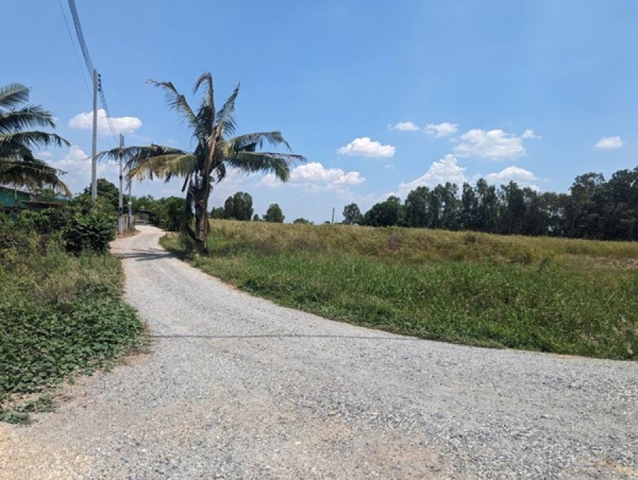 ขายที่ดินติดถนน 3 ด้าน 12-3-71 ไร่ ทำเลศักยภาพ ติดถนนศุขประยูร พนัสนิคม ชลบุรี โทร 0818213624