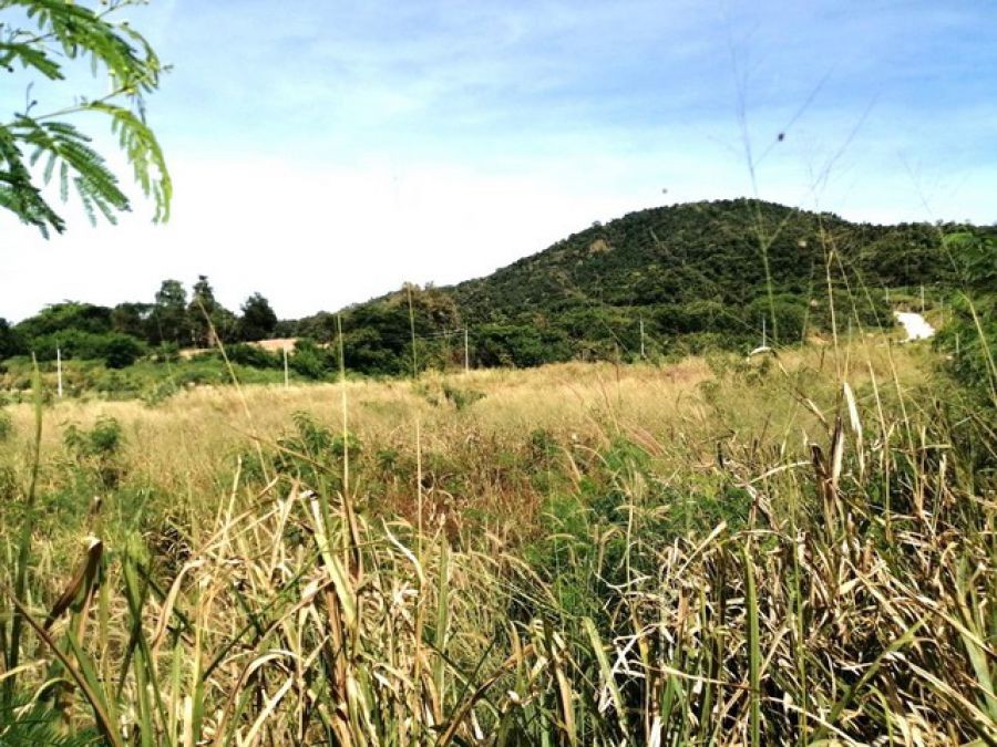 ปิดประกาศ 5320259381248 ปิดประกาศ 5320259381248